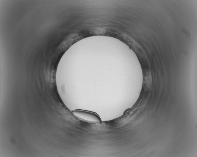 X0000110890525200907091356