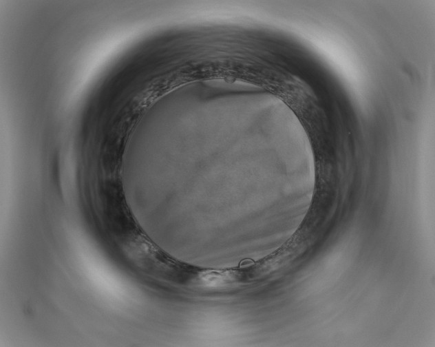 X0000110890526200907091356