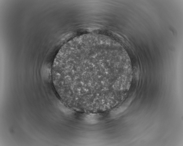 X0000110890527200907091356