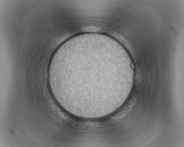 X0000110890529200907091356