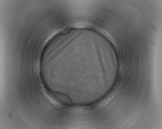 X0000110890530200907091356