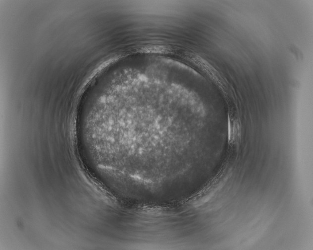 X0000110890531200907091356