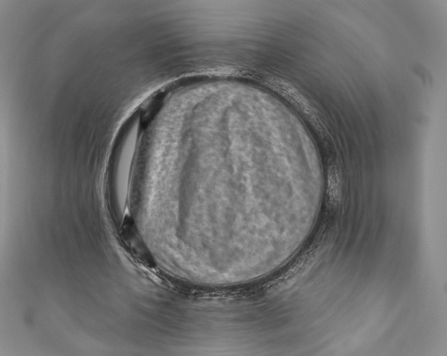 X0000110890532200907091356