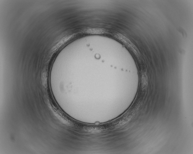 X0000110890533200907091356