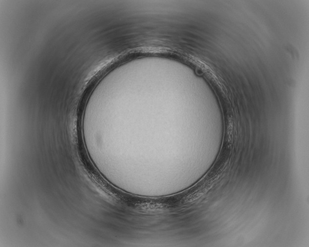 X0000110890535200907091356