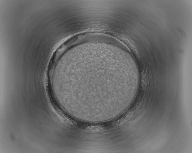 X0000110890536200907091356