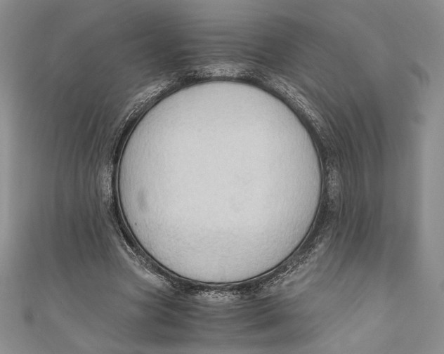 X0000110890537200907091356