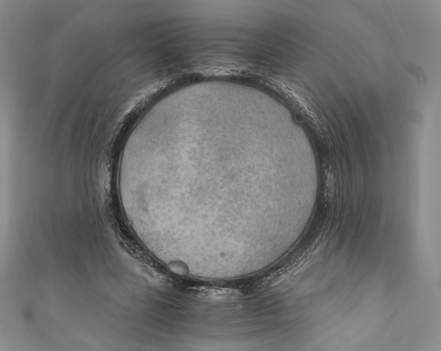 X0000110890539200907091356