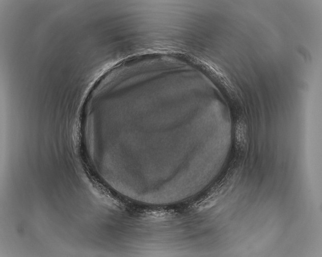 X0000110890540200907091356