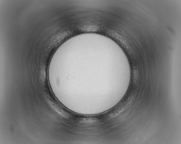 X0000110890541200907091356