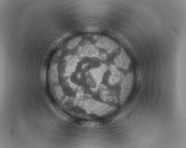 X0000110890542200907091356