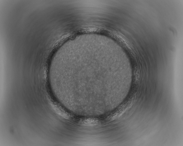 X0000110890546200907091356