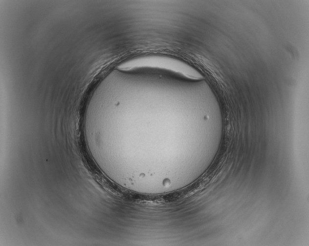 X0000110890548200907091356