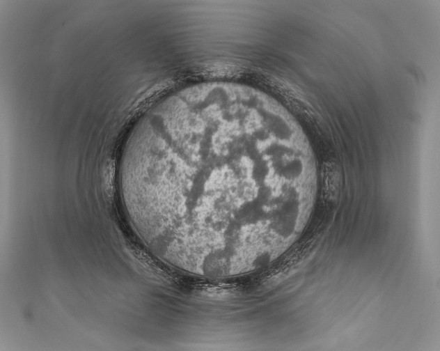 X0000110890550200907091356