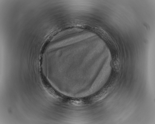 X0000110890552200907091356