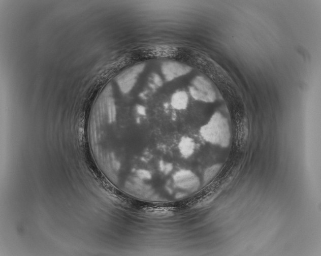 X0000110890553200907091356