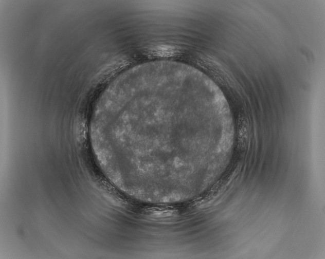 X0000110890555200907091356