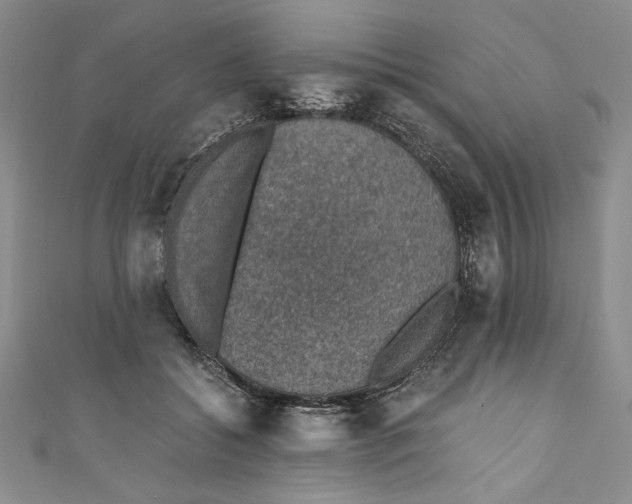 X0000110890556200907091356