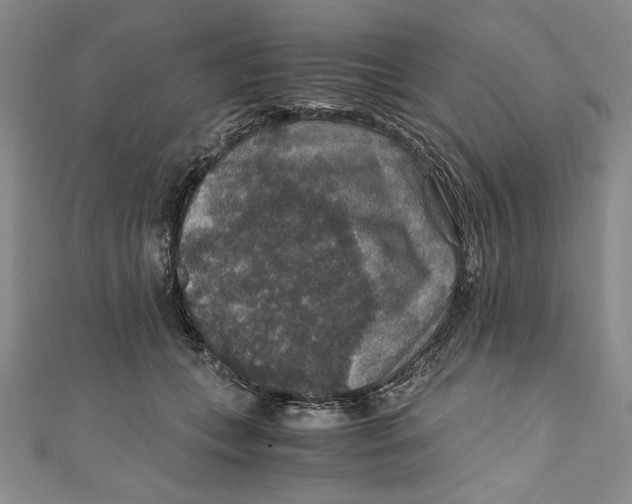 X0000110890559200907091356