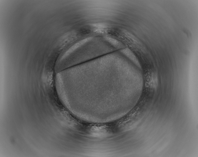 X0000110890560200907091356