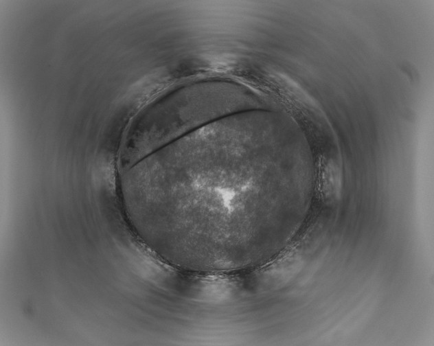 X0000110890562200907091356