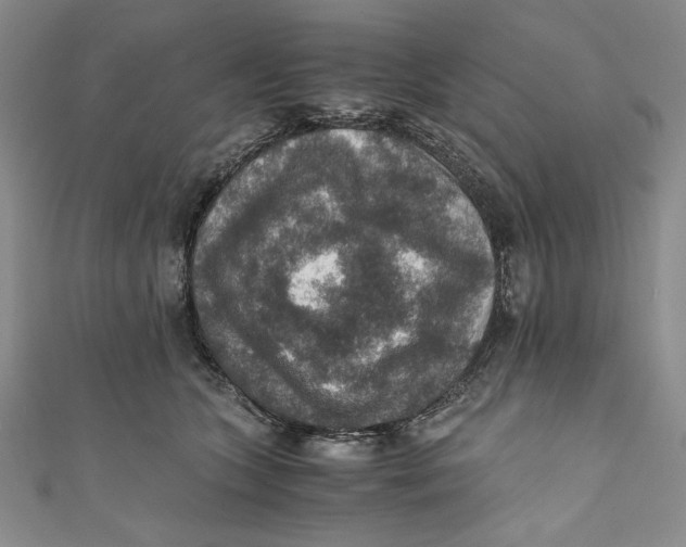 X0000110890563200907091356