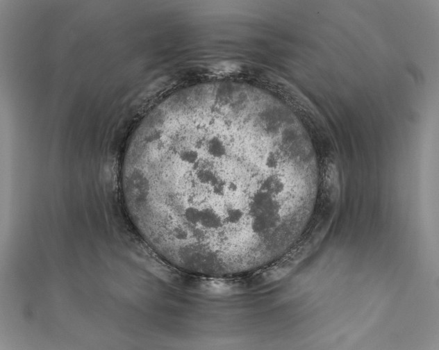 X0000110890565200907091356