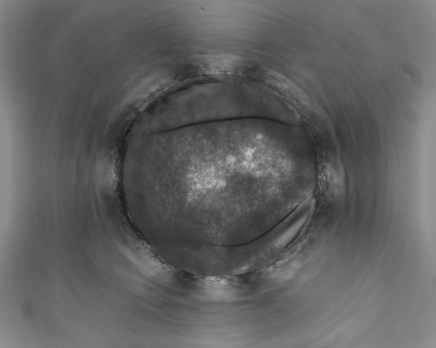 X0000110890566200907091356