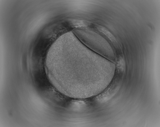 X0000110890572200907091356