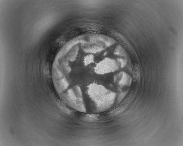 X0000110890573200907091356