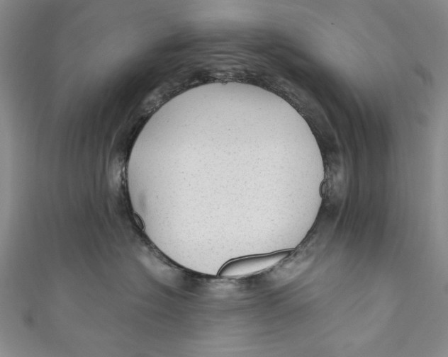 X0000110890574200907091356