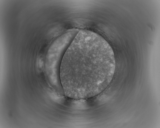 X0000110890576200907091356