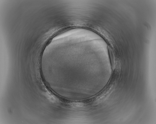 X0000110890577200907091356