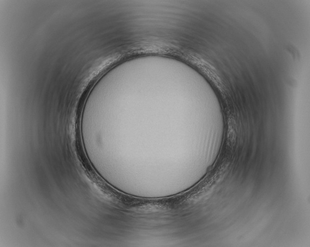 X0000110890578200907091356