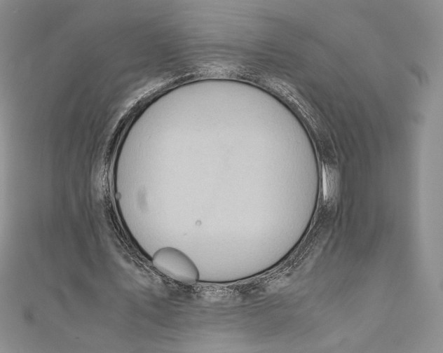 X0000110890579200907091356