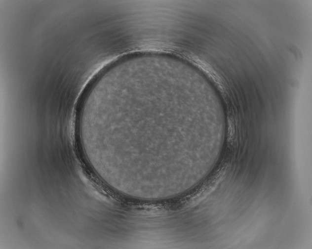 X0000110890580200907091356