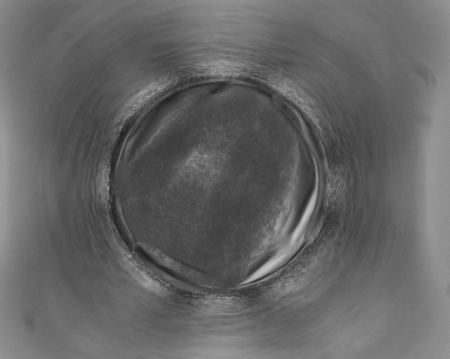 X0000110890581200907091356