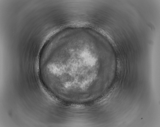 X0000110890582200907091356