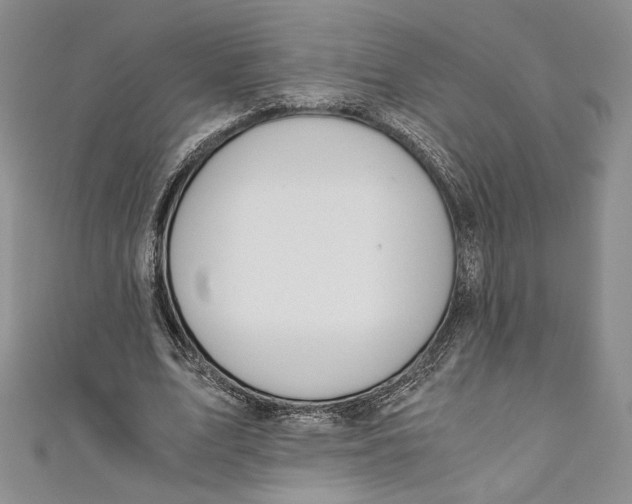 X0000110890583200907091356