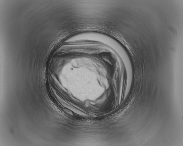 X0000110890585200907091356