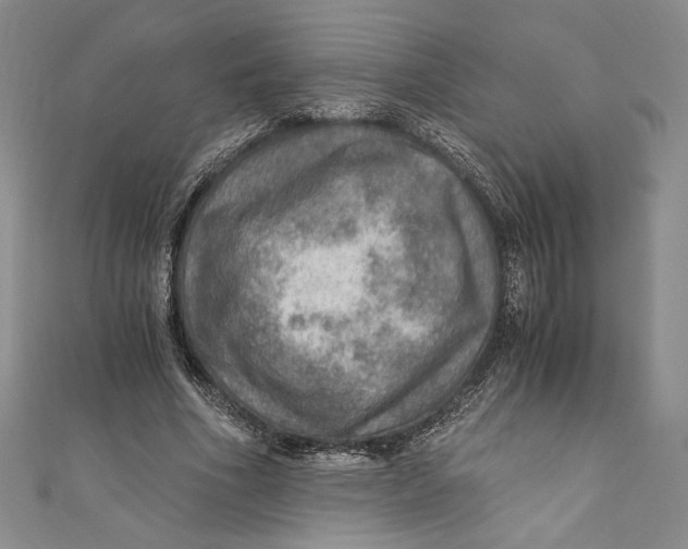 X0000110890586200907091356