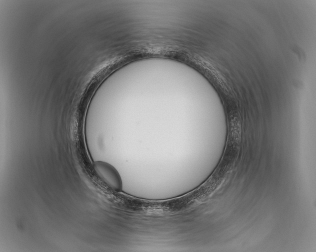 X0000110890587200907091356