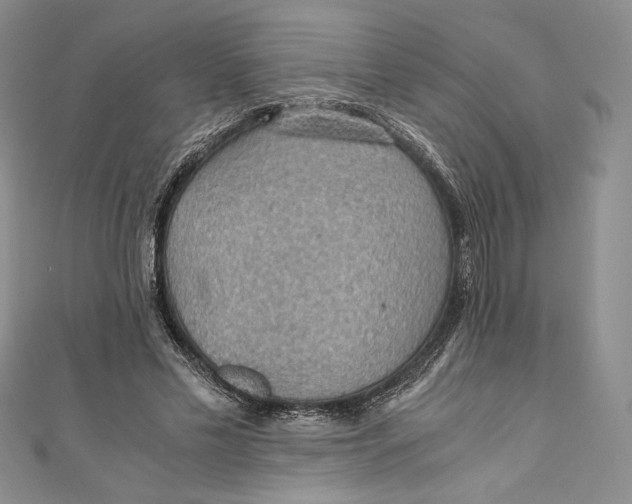 X0000110890589200907091356