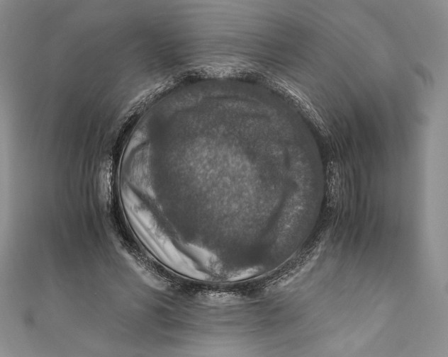 X0000110890590200907091356