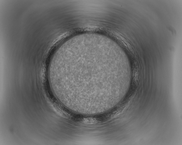 X0000110890591200907091356