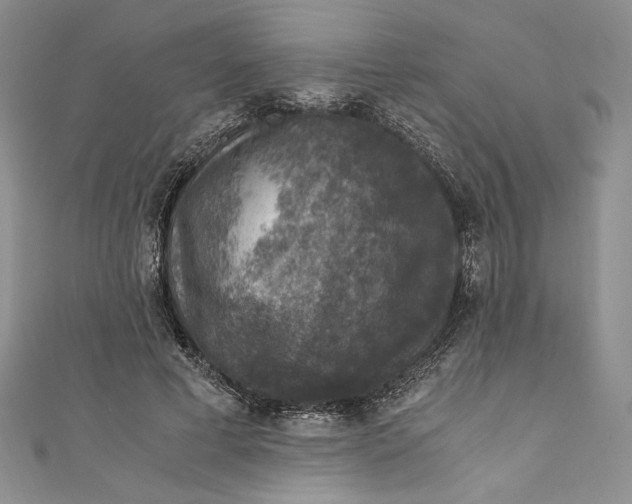 X0000110890593200907091355