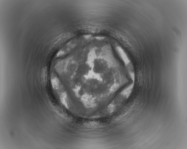 X0000110890594200907091355