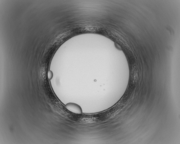 X0000110890595200907091355