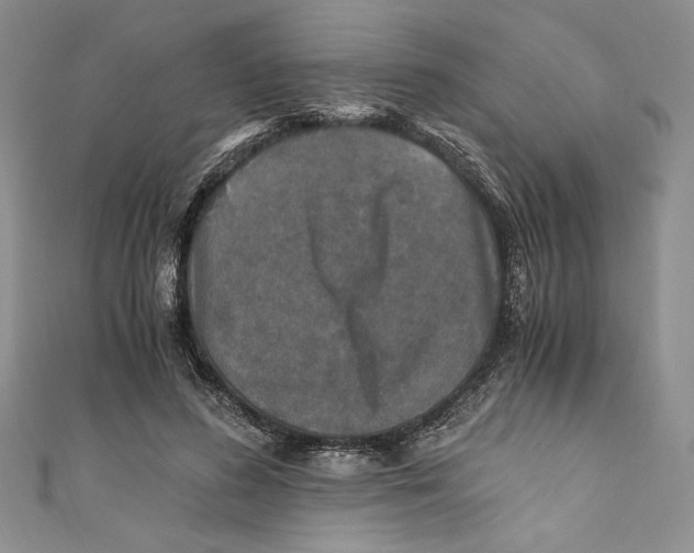 X0000110890596200907091355