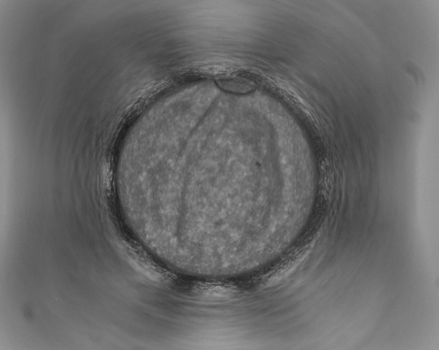 X0000110890597200907091355